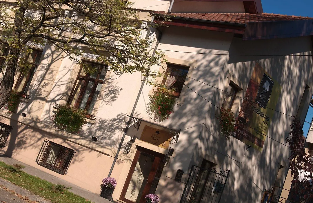 Park Villa - Boutique Hotel-1