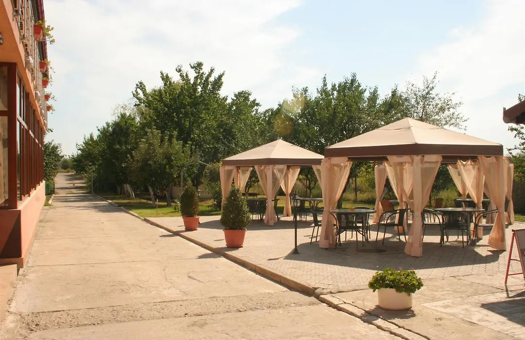 Pension Andronic-1