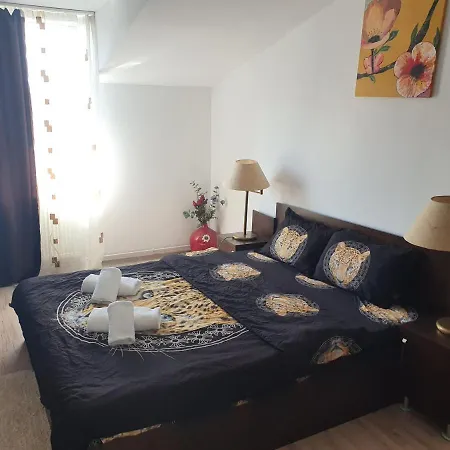 Casa Lions-3