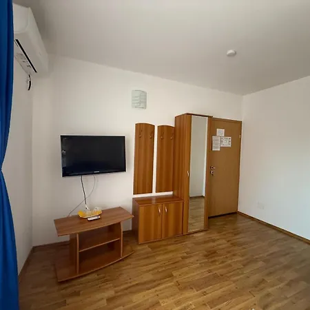 Pensiunea Vladut Timisoara-2